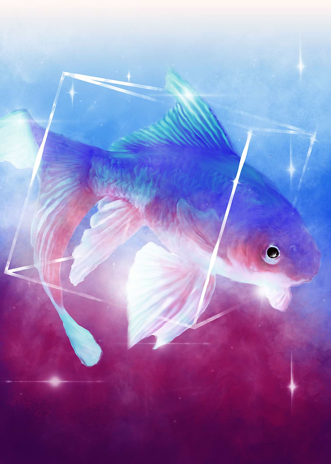 fantasy fish