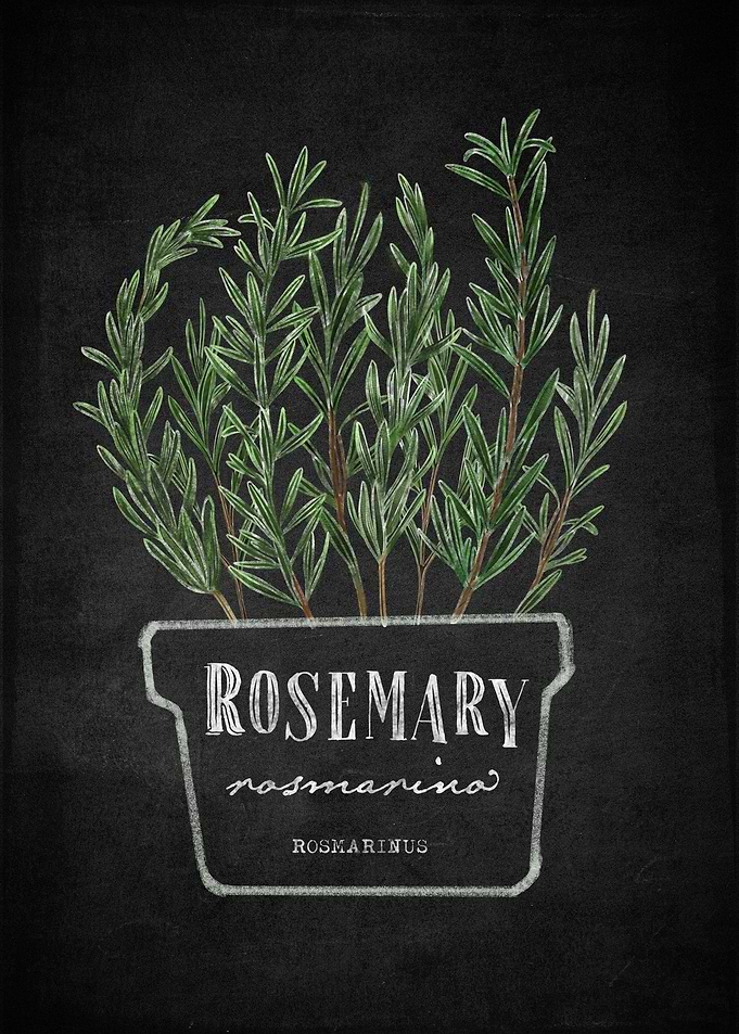 Rosemary