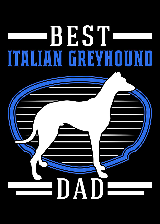 Best Italian Greyhound Dad