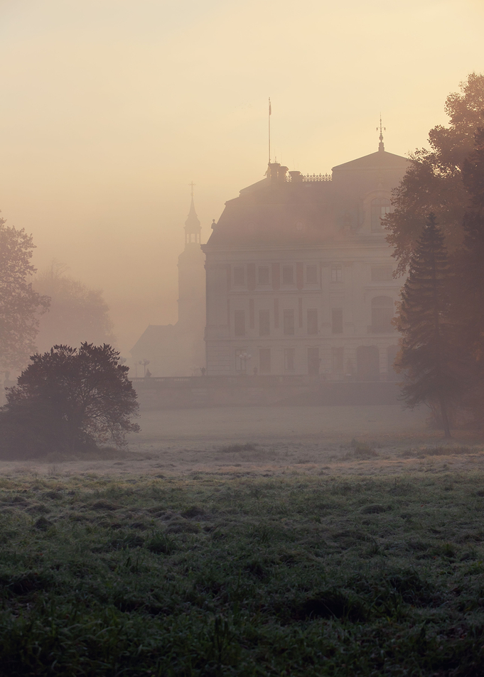 Autumn morning foggy park