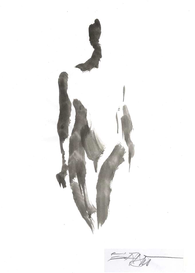 N302 silhouette