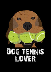 Dog tennis lover