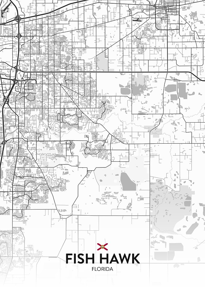 Fish Hawk FL