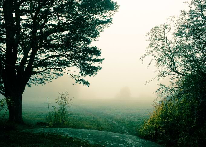 Mist