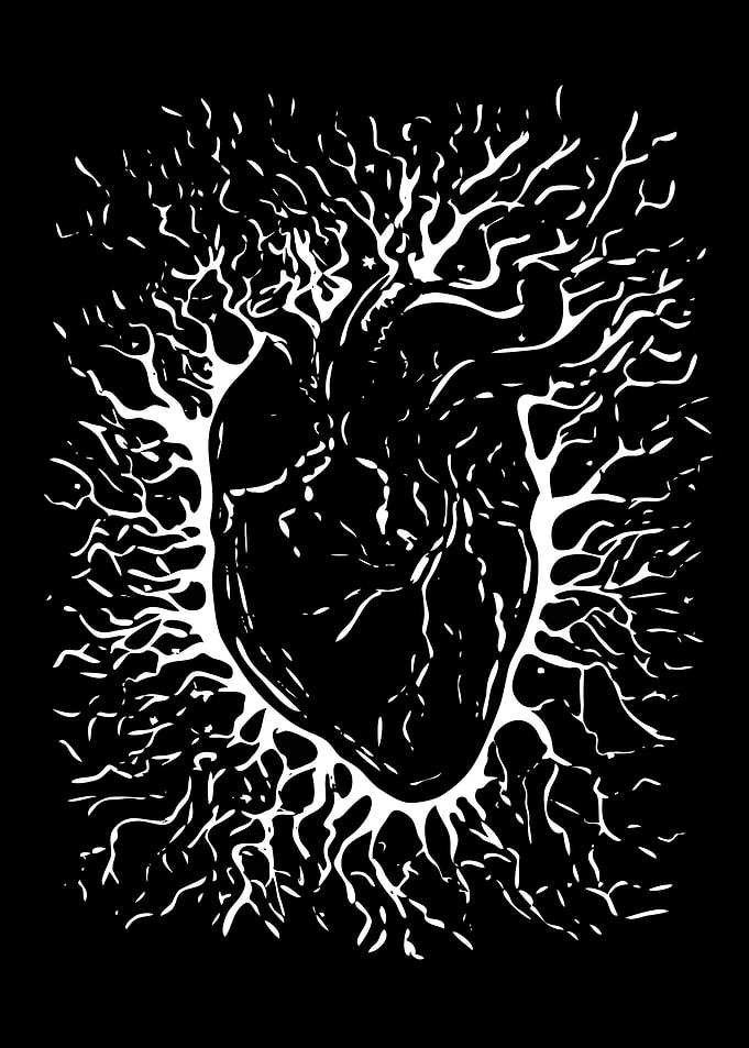 Frozen Heart
