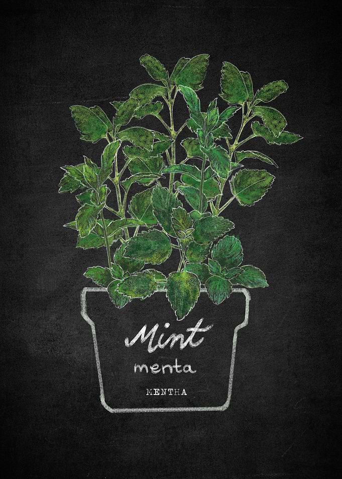 Mint