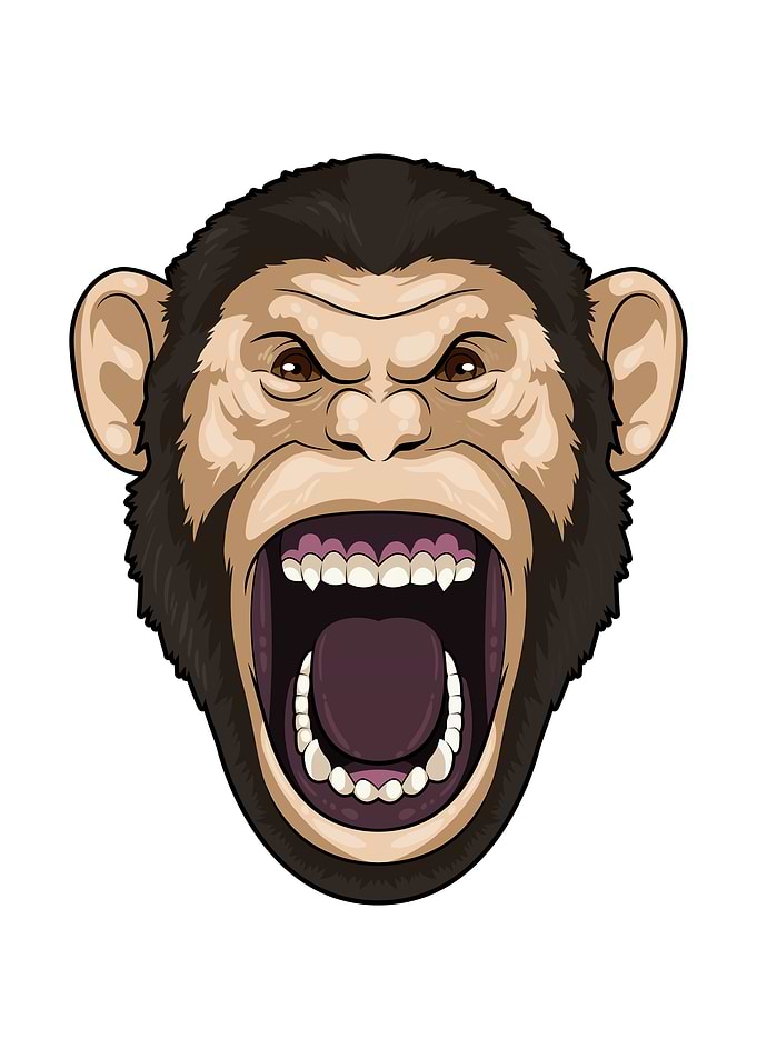 Monkey black Hairs