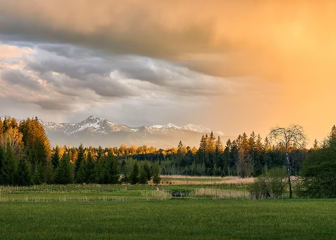 Sunlight In The Rain