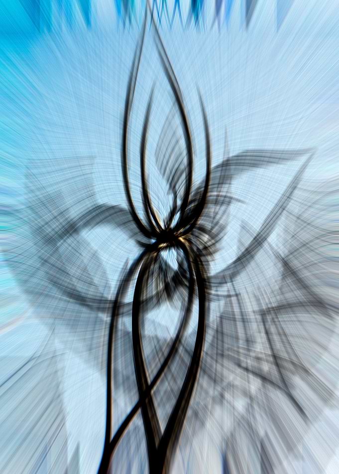 Branches
