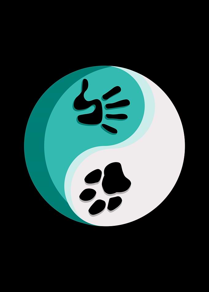 Qigong Taichi