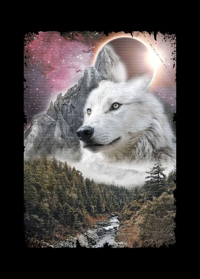 Wolf Solar Eclipse Galaxy