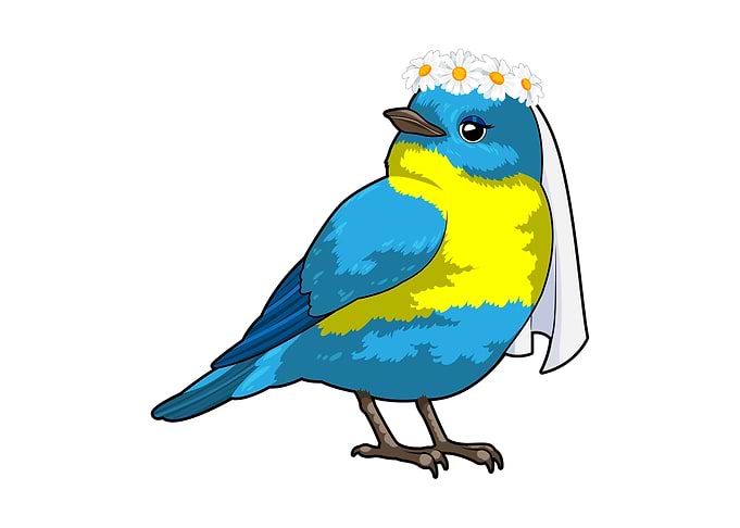 Bird Wedding Bride