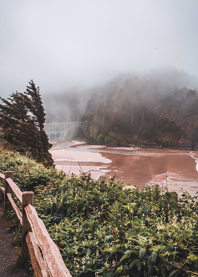 Oregon Coast Foggy Day