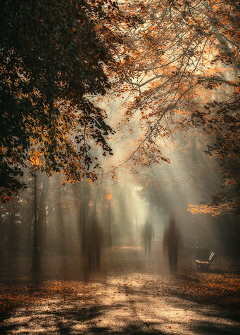 Autumn street, impression