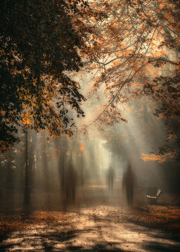 Autumn street, impression