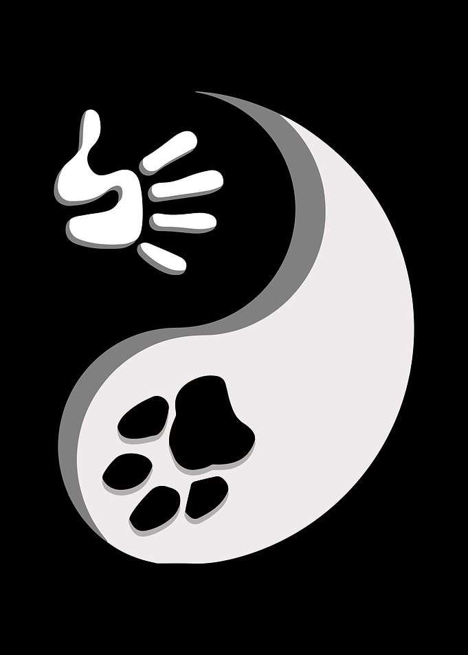 Qigong Taichi