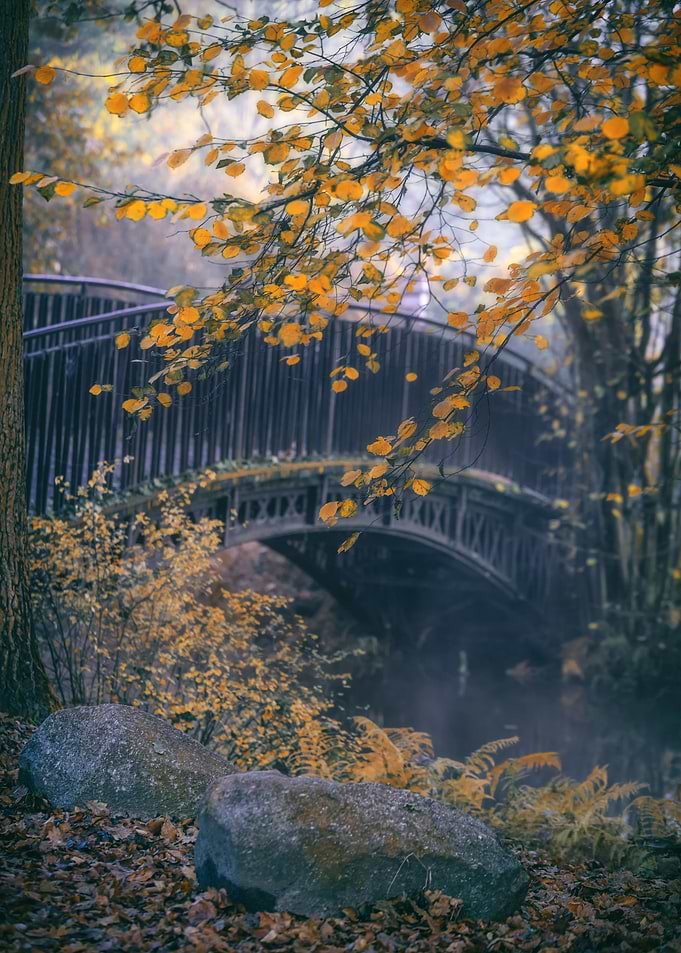 Autumn path, bridge, trees