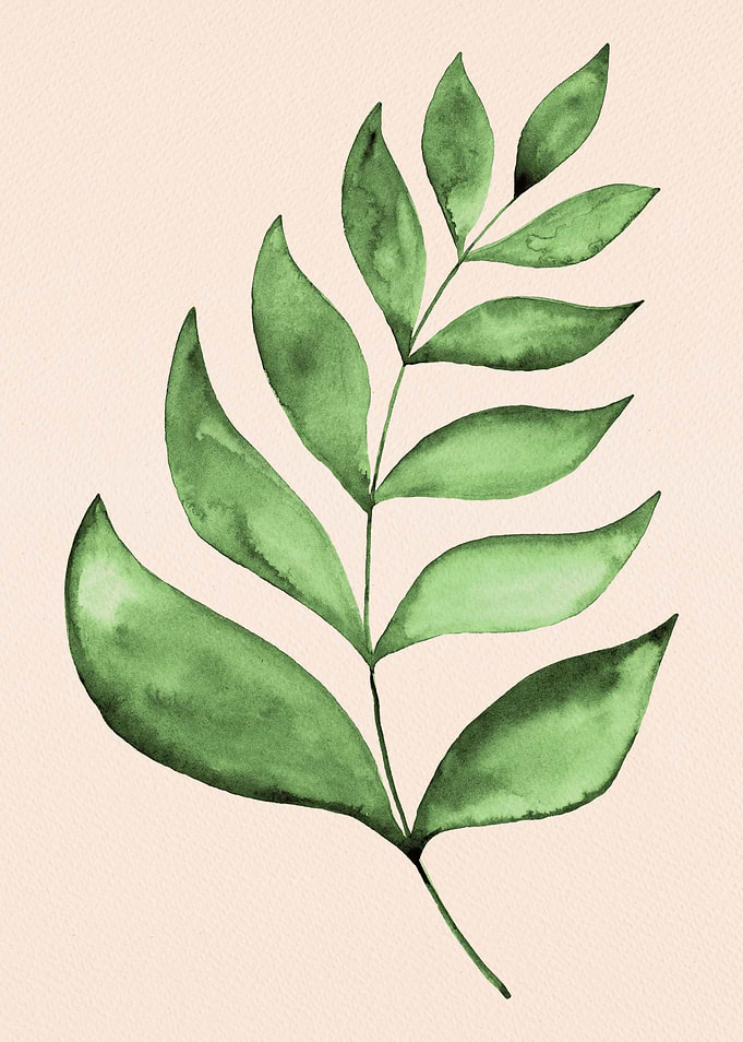 Olive simple branch