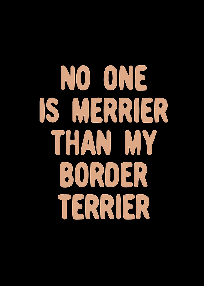 Border Terrier