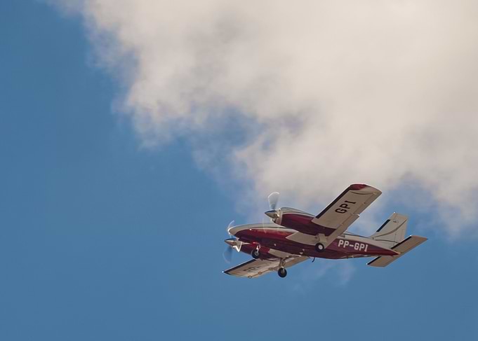 Piper Seneca