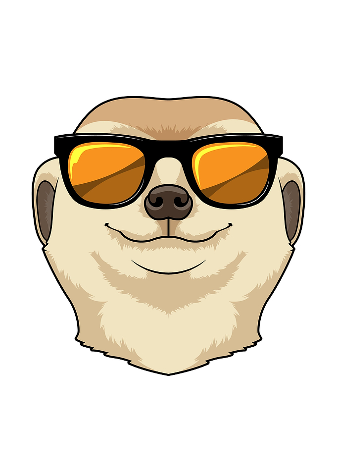 Meerkat Sunglasses