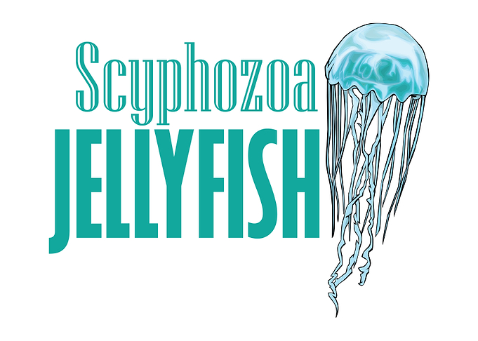Scyphozoa Jellyfish