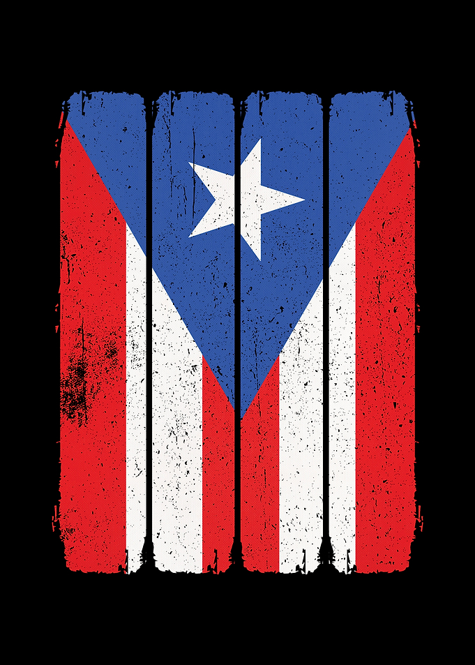 Puerto Rico Flag