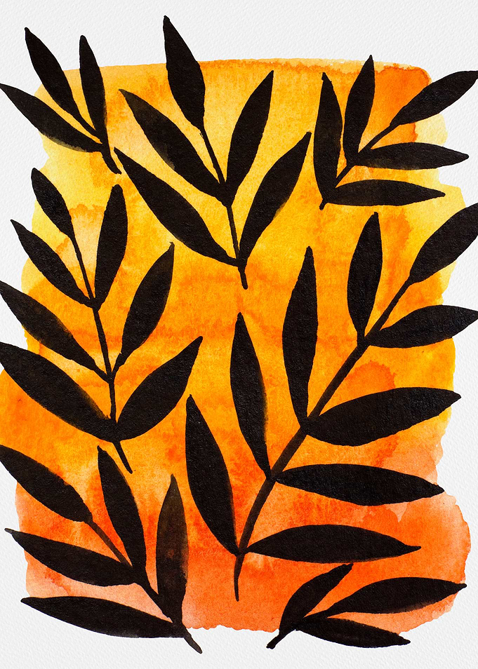 Abstract black branches