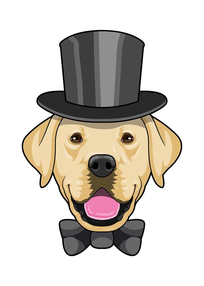 Dog Wedding Groom