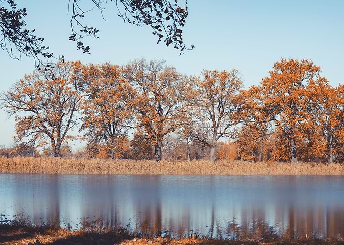 Autumn trees, lake, Poland