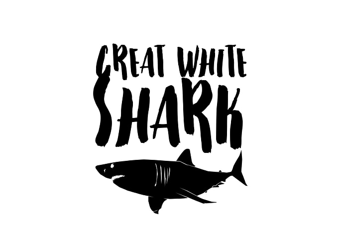 Great white shark