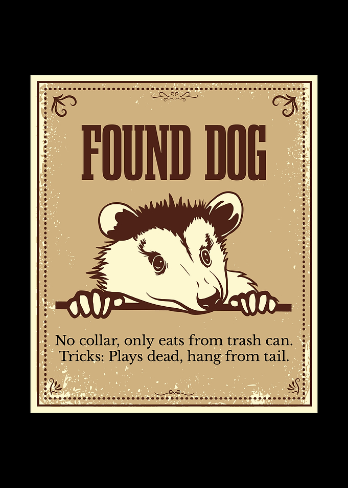 Found Dog Opossum