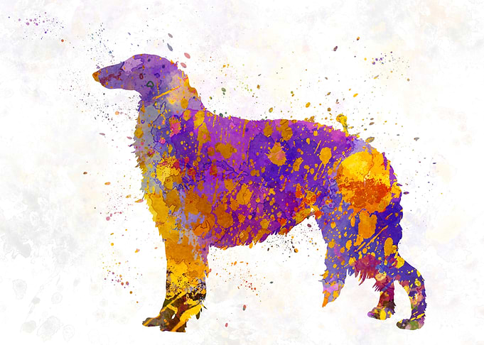 Borzoi in watercolor