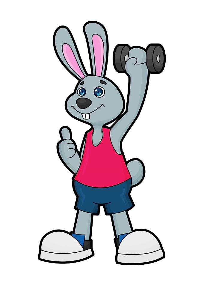 Rabbit Fitness Dumbbell
