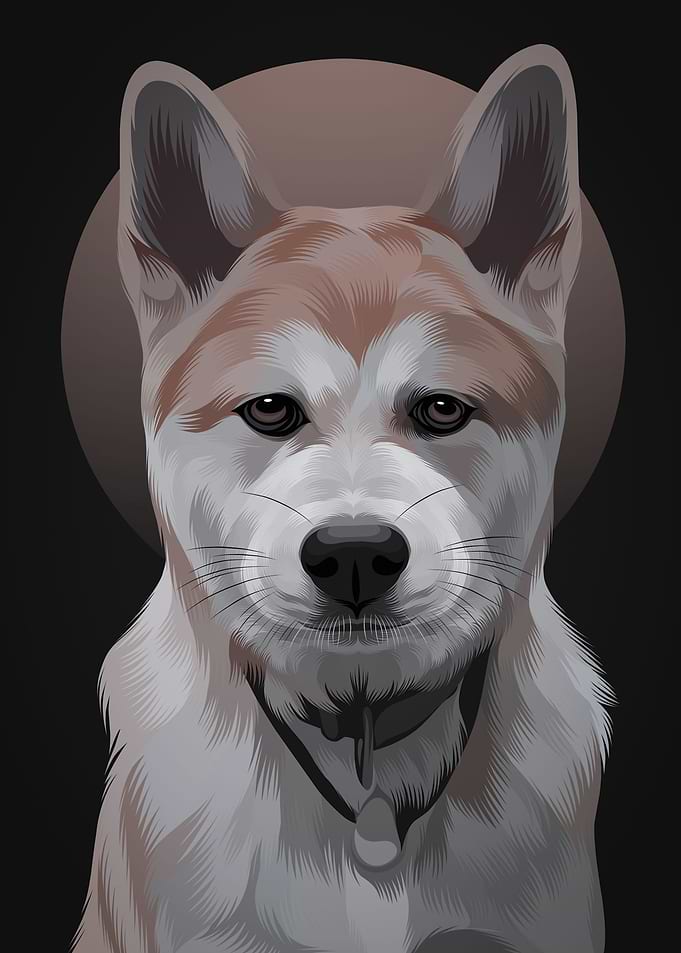 Akita 2