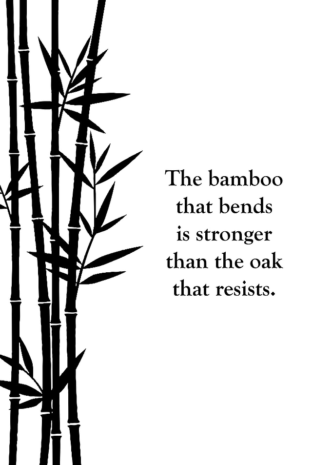 Japanese Proverb
