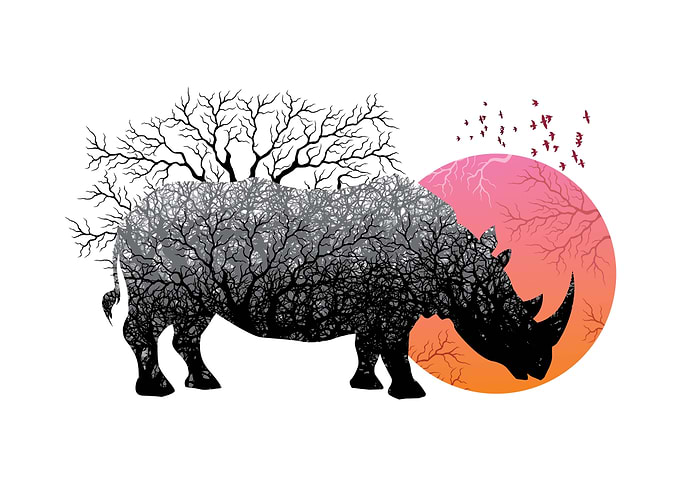 Rhino Tree Sunset