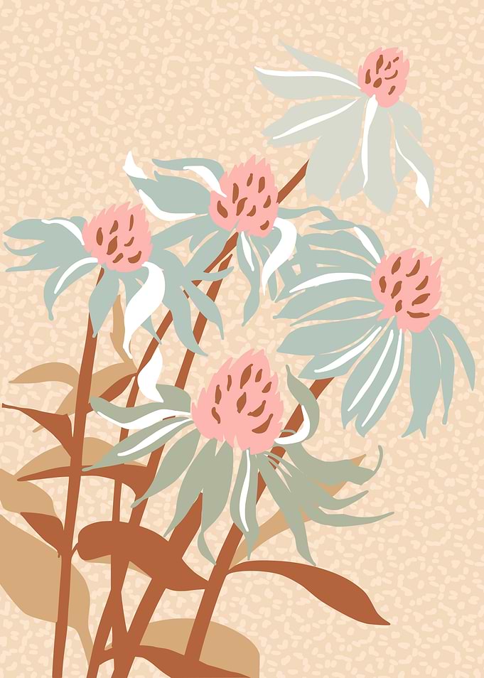 Girls eye flower