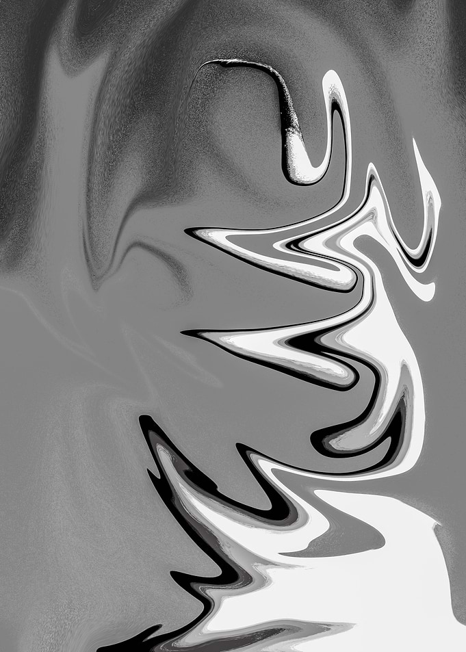 Abstract Photo Art Plant