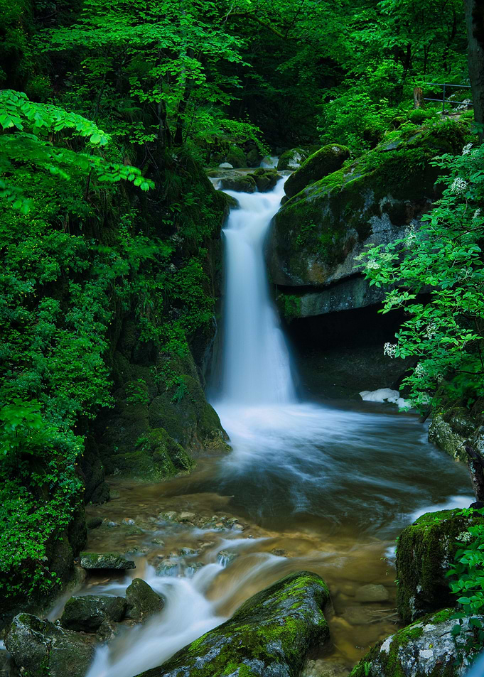 Woodland Waterfall