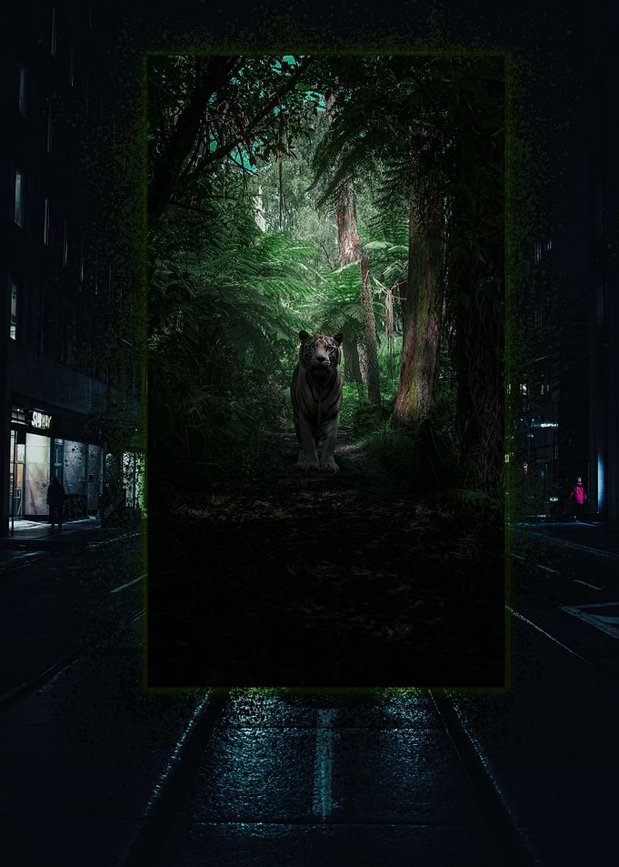 Natures Portal