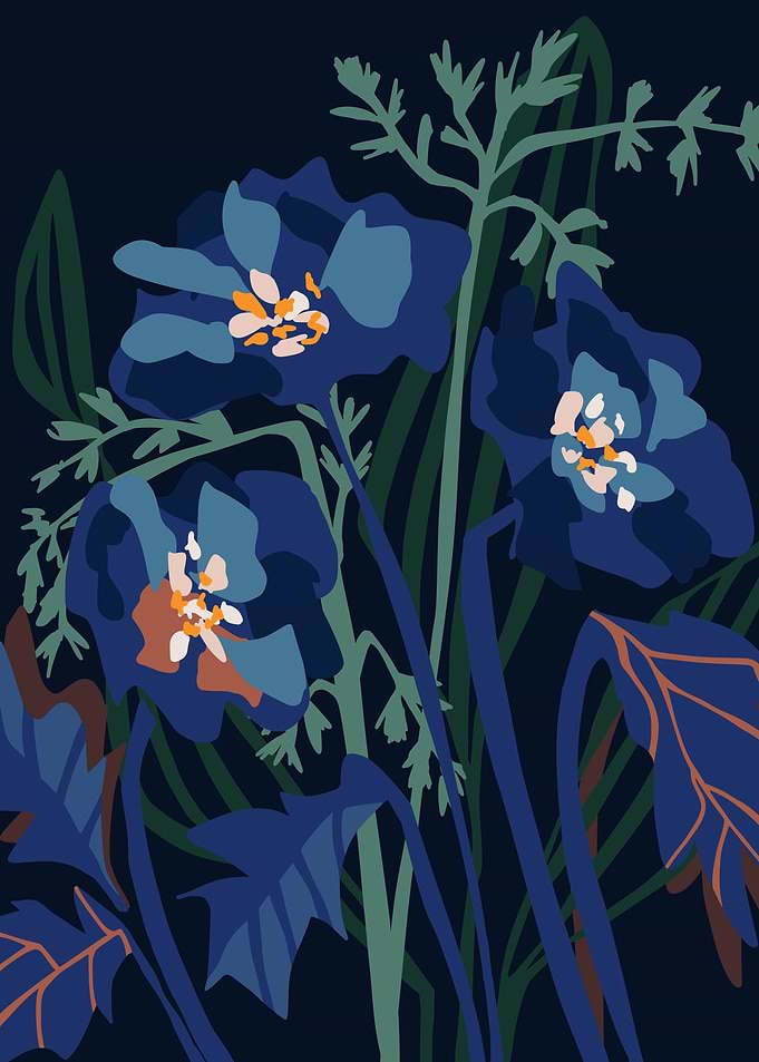 Wild flowers by night