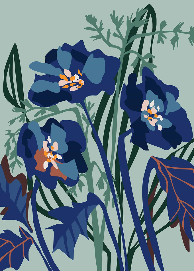 modern floral illustration