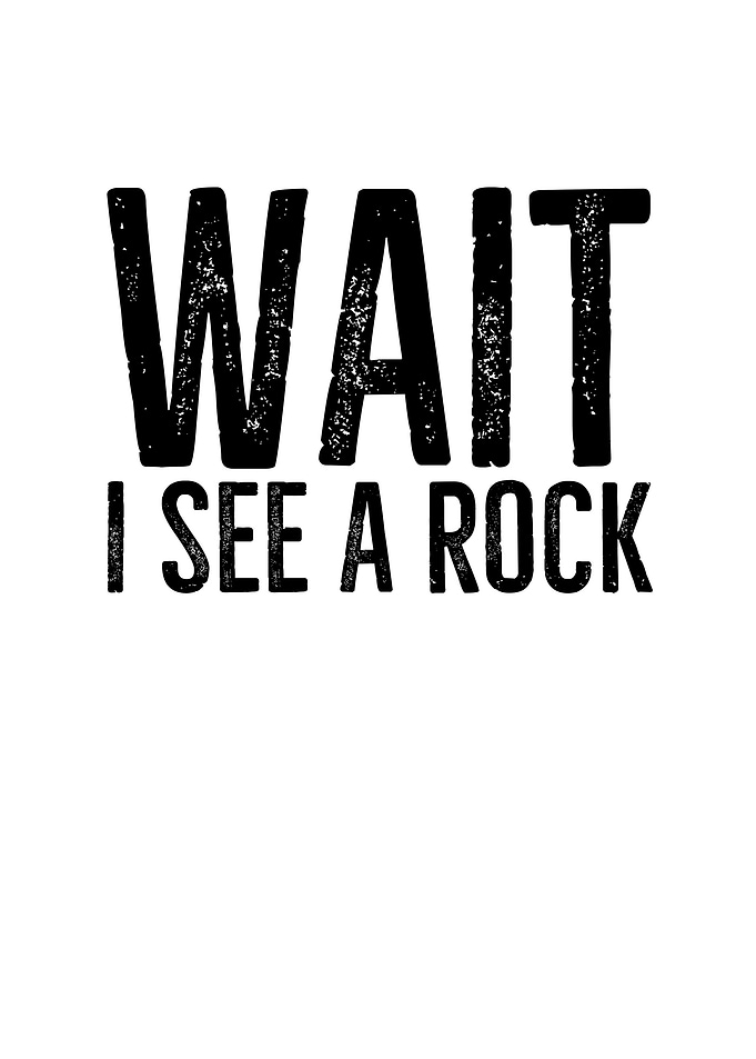 Wait I See a Rock