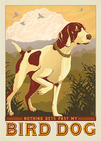Bird Dog
