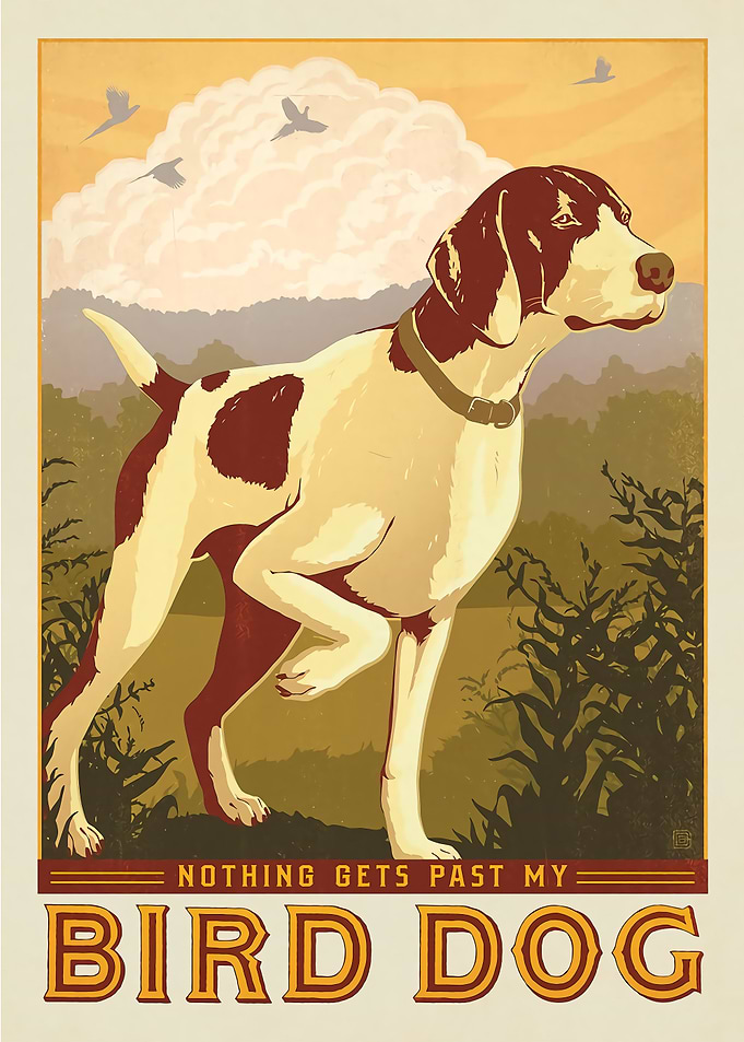 Bird Dog