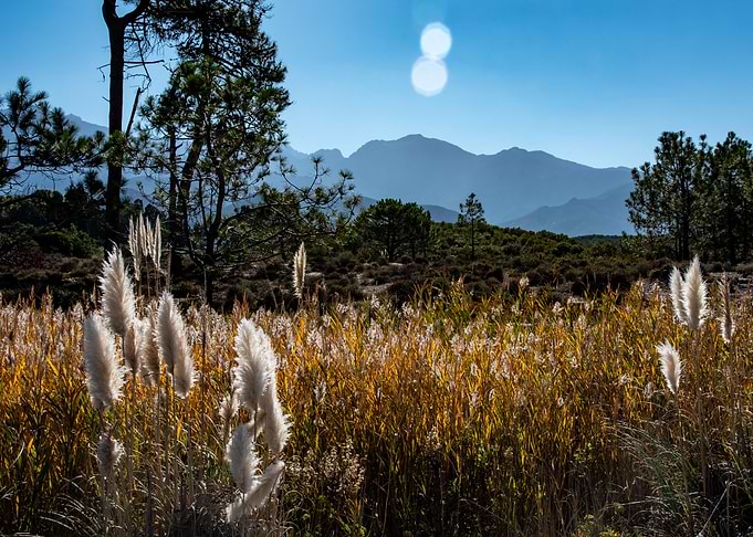 Corsica