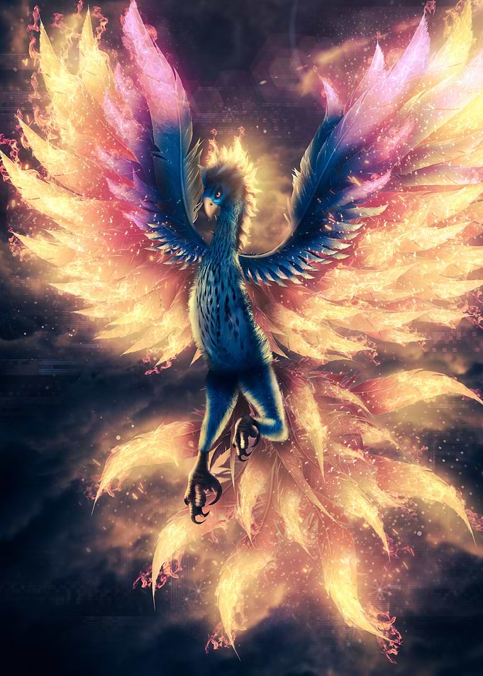 Spirit of the Phoenix