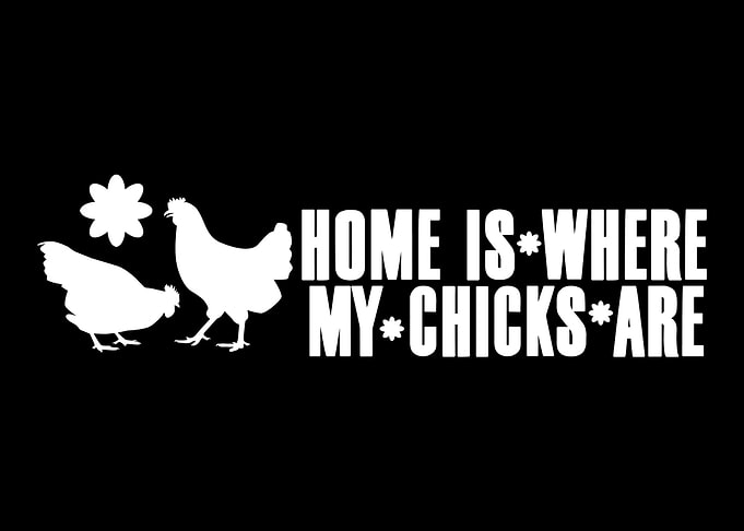 Chicken Farming Farmer