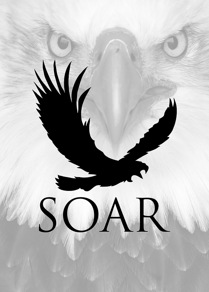 Eagle Soar